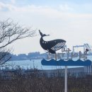 장생포고래고기원조할매집 | 울산 장생포 고래문화마을 탐방 트레킹 후 고래고기원조할매집 미식 포토기 [재부 부산대토목73 친구들...