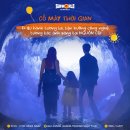 힐라이트 | 바나힐 라이트 아트 후기 새로 오픈한 신상 명소 입장료 위치 총정리