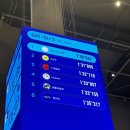 링고위너
