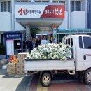 서촌초교 이미지