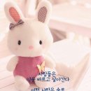 이** - 청도군 청도신기길 | 이**