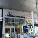 MENDO FARMS | Mendocino Farms 샌드위치