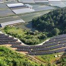 보성에너지태양광발전소 이미지