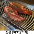야호양꼬치 | 산본 야호양꼬치 양갈비도 맛있는 곳
