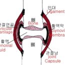 목감의아침 이미지