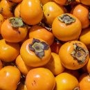 자매농장 이미지