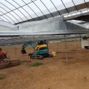 고덕면017 이미지