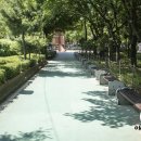 석남체육공원 이미지