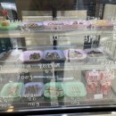 브로콜리 펫푸드 이미지