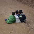 산성의 아침 이미지