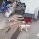 매산마을 이미지