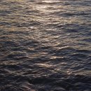 강릉 바다내음 캠핑장 이미지