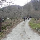 신황마을 이미지