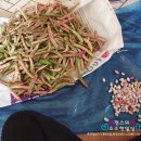 신길농장 이미지