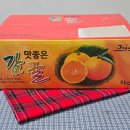 효돈비타민농장 | 서귀포 효돈 타이벡감귤 가정용 5kg 제주택배 산지직송
