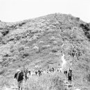 산중문답 이미지