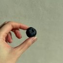 하누마중 | 01월 새해가 또 밝았다