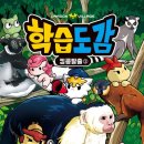 킹콩빌리지