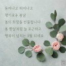 엄지 공주 이미지