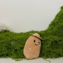 신당김밥천국 | 강릉 여행│먹다 끝난 강릉여행