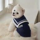 베일리펫케어 이미지