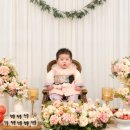 크리커뮤니케이션 | 자택·식당 돌잔치 준비 중이라면 🌿 핑크크리 우드트리 출장돌상 이용 후기
