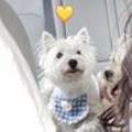 곰띠돈띠 이미지