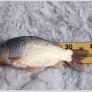 남양호 상류 이미지