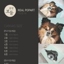 나만의 팝아트 제작 이미지