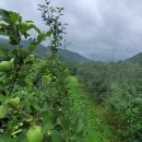 (주)고향이야기 이미지