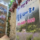 하늘빛향기담아