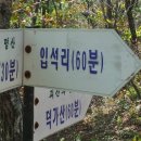 입석마을 입석 이미지