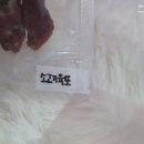 도그조아 이미지