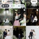 비비드유 vividu