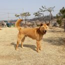 대도낚시 이미지