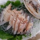 북항회타운 이미지