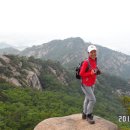 치즈(cheese) 이미지