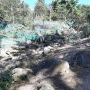 다복다복 이미지