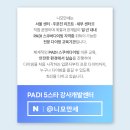 다이빙맛 | 오가사와라 다이빙 후기｜돌고래와 함께한 인생 다이빙! PADI 팸투어 리얼 리뷰
