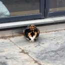 반하나카페 | 광주 아이랑 주말에 가기 좋은 대형카페, 반헤이브 솔직 후기