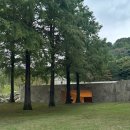 호암자동차 | 호암미술관 [루이즈 부르주아: 덧없고 영원한] 후기 _ 새로 생긴 호암미술관 카페, 호암미술관 단풍...