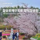 능포동주민센터 | 거제도벚꽃 명소 장승포해안도로 양지암장미공원 거제꽃구경!