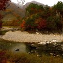 달빛한스푼 이미지