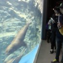 입체영상관 이미지