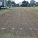 가평종합운동장 가평희망구장 이미지