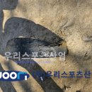 수원동신초등학교 이미지