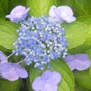 한일가스 산소 이미지