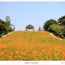 마루사이주