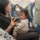 진상5일시장 | 🏝️[2월 코타키나발루 3박 5일] 대장과 첫 해외여행