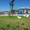 남사당카페 이미지